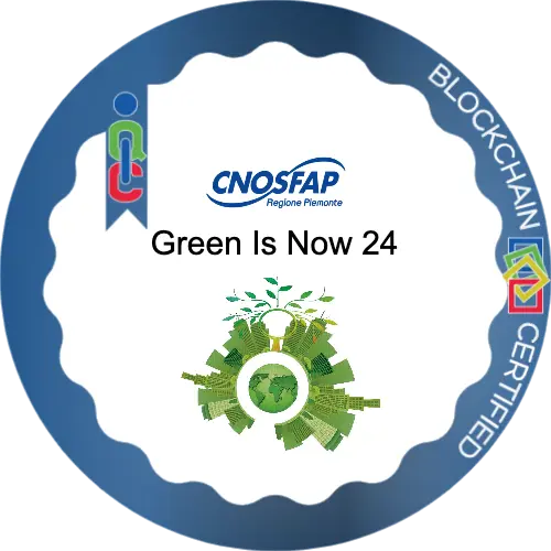 Badge pubblico 53273